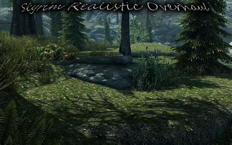 realistic mod skyrim|skyrim realistic overhaul mod.